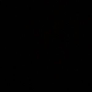 Meet your Posher, Willy